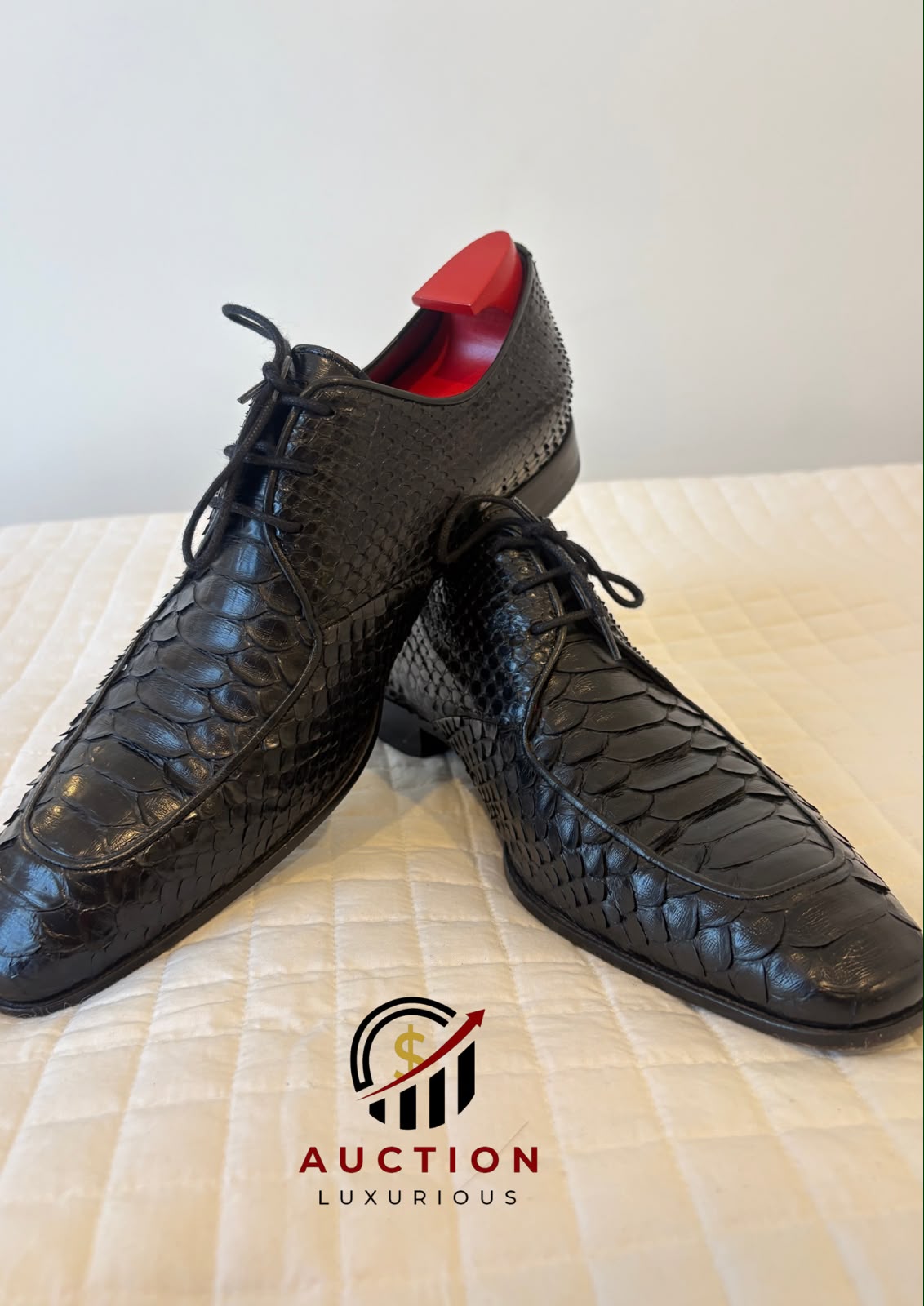 Vincenzo Luca Milan - Piton Shoes