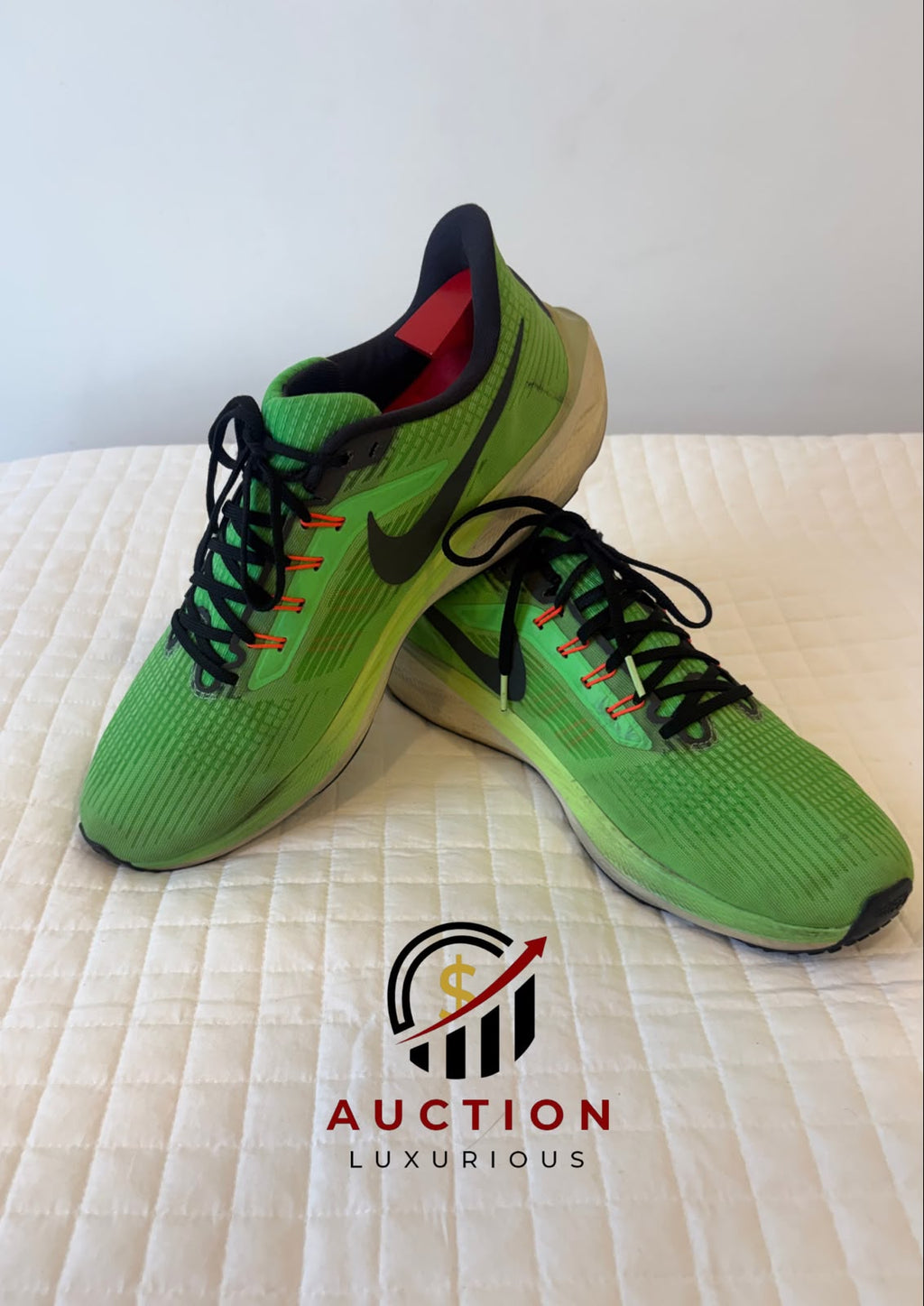 Nike Air Zoom Pegasus 39